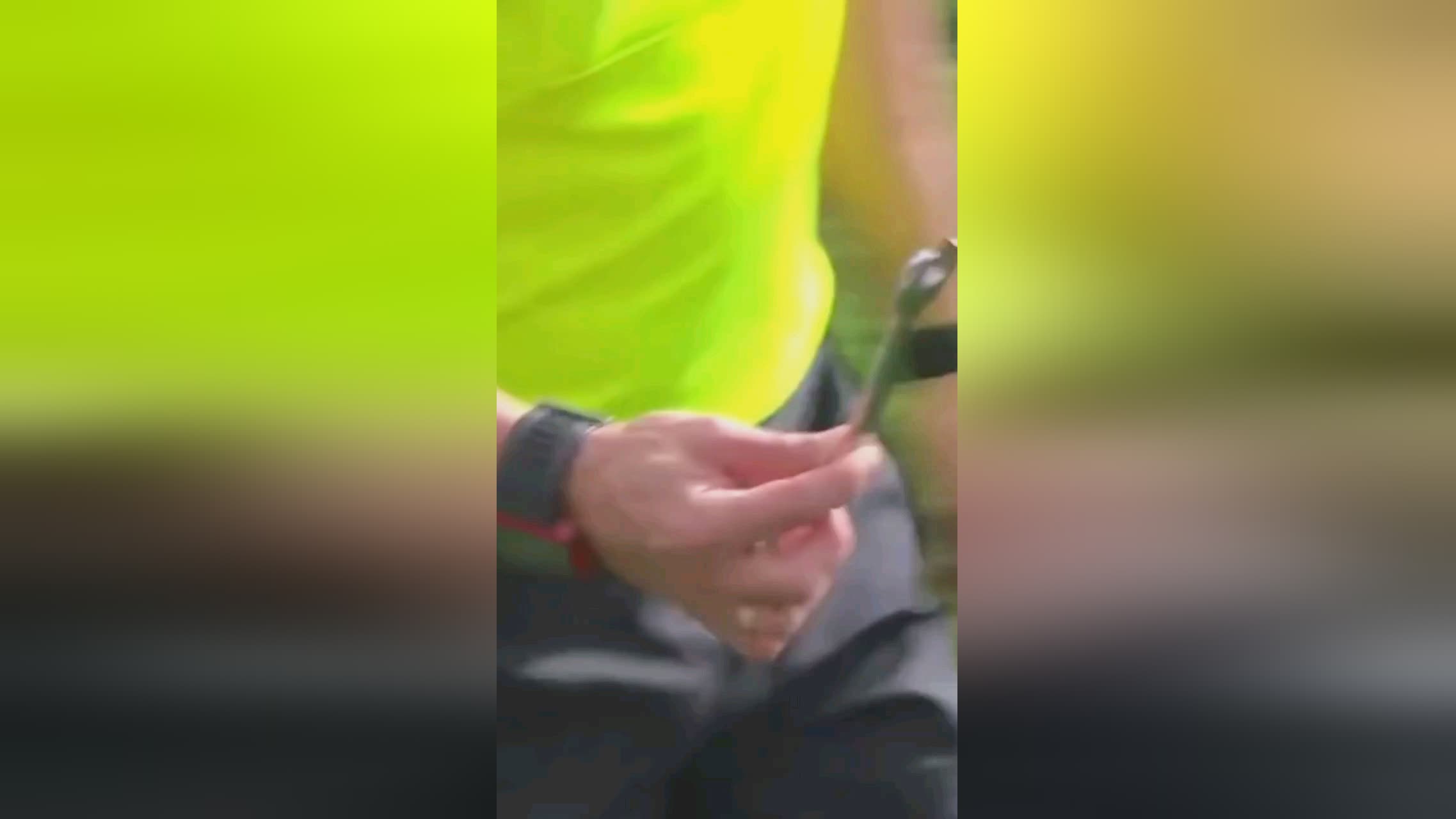 让整个